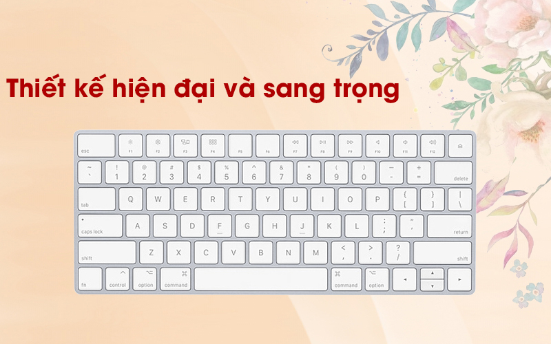 Bàn phím Apple đẹp mắt
